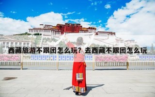 西藏旅游不跟团怎么玩？去西藏不跟团怎么玩