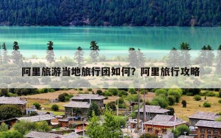 阿里旅游当地旅行团如何？阿里旅行攻略