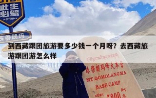 到西藏跟团旅游要多少钱一个月呀？去西藏旅游跟团游怎么样