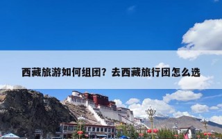 西藏旅游如何组团？去西藏旅行团怎么选