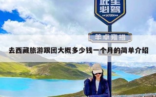 去西藏旅游跟团大概多少钱一个月的简单介绍