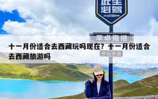 十一月份适合去西藏玩吗现在？十一月份适合去西藏旅游吗