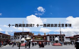 十一西藏旅游团？十一西藏旅游注意事项