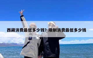 西藏消费最低多少钱？限制消费最低多少钱