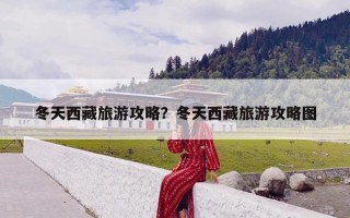 冬天西藏旅游攻略？冬天西藏旅游攻略图