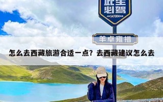 怎么去西藏旅游合适一点？去西藏建议怎么去