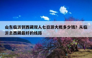 山东临沂到西藏双人七日游大概多少钱？从临沂去西藏最好的线路