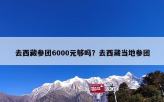 去西藏参团6000元够吗？去西藏当地参团