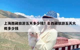 上海西藏旅游五天多少钱？去西藏旅游五天大概多少钱