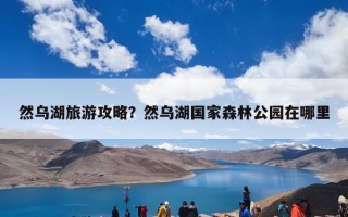 然乌湖旅游攻略？然乌湖国家森林公园在哪里