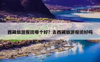 西藏旅游报团哪个好？去西藏旅游报团好吗