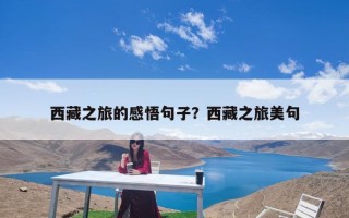 西藏之旅的感悟句子？西藏之旅美句