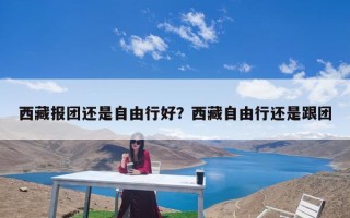 西藏报团还是自由行好？西藏自由行还是跟团