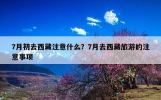 7月初去西藏注意什么？7月去西藏旅游的注意事项