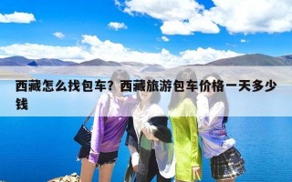 西藏怎么找包车？西藏旅游包车价格一天多少钱