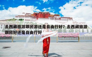 去西藏旅游跟团游还是自由行好？去西藏旅游跟团好还是自由行好