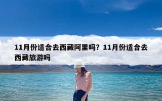 11月份适合去西藏阿里吗？11月份适合去西藏旅游吗