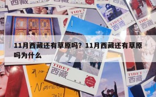 11月西藏还有草原吗？11月西藏还有草原吗为什么