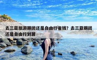 去三亚旅游跟团还是自由行省钱？去三亚跟团还是自由行划算