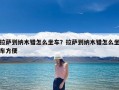 拉萨到纳木错怎么坐车？拉萨到纳木错怎么坐车方便