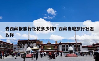 去西藏报旅行社花多少钱？西藏当地旅行社怎么样