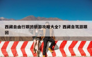 西藏自由行跟团旅游攻略大全？西藏自驾游跟团