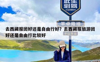 去西藏报团好还是自由行好？去西藏报旅游团好还是自由行比较好