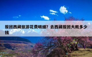 报团西藏旅游花费明细？去西藏报团大概多少钱