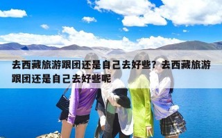 去西藏旅游跟团还是自己去好些？去西藏旅游跟团还是自己去好些呢