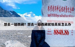 想去一趟西藏？想去一趟西藏就怕高反怎么办