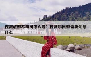 西藏旅游不跟团怎么玩？西藏跟团游需要注意什么