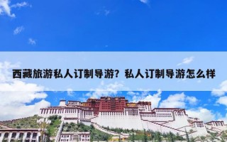 西藏旅游私人订制导游？私人订制导游怎么样