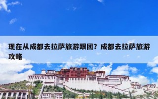 现在从成都去拉萨旅游跟团？成都去拉萨旅游攻略