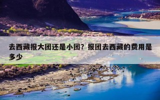 去西藏报大团还是小团？报团去西藏的费用是多少