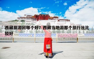 西藏旅游团哪个好？西藏当地游那个旅行社比较好