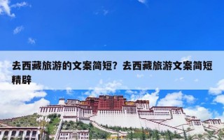 去西藏旅游的文案简短？去西藏旅游文案简短精辟