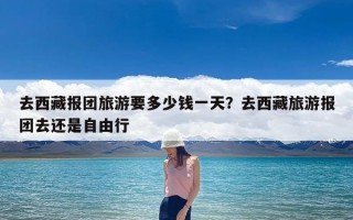 去西藏报团旅游要多少钱一天？去西藏旅游报团去还是自由行