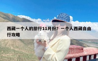 西藏一个人的旅行11月份？一个人西藏自由行攻略