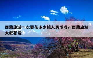 西藏旅游一次要花多少钱人民币呀？西藏旅游大概花费