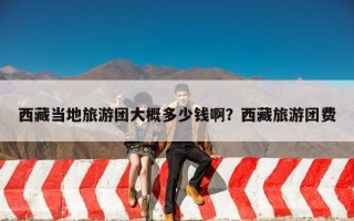 西藏当地旅游团大概多少钱啊？西藏旅游团费