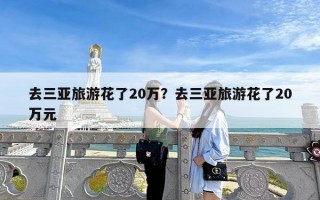 去三亚旅游花了20万？去三亚旅游花了20万元