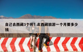 自己去西藏3个月？去西藏旅游一个月要多少钱