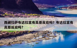 西藏拉萨布达拉宫有高原反应吗？布达拉宫有高原反应吗?