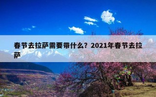 春节去拉萨需要带什么？2021年春节去拉萨