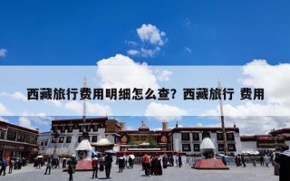 西藏旅行费用明细怎么查？西藏旅行 费用