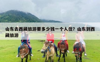 山东去西藏旅游要多少钱一个人住？山东到西藏旅游