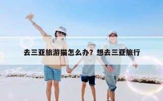 去三亚旅游猫怎么办？想去三亚旅行