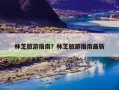 林芝旅游指南？林芝旅游指南最新