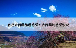 自己去西藏旅游感受？去西藏的感受说说