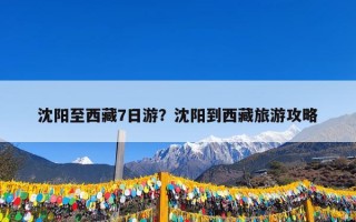 沈阳至西藏7日游？沈阳到西藏旅游攻略